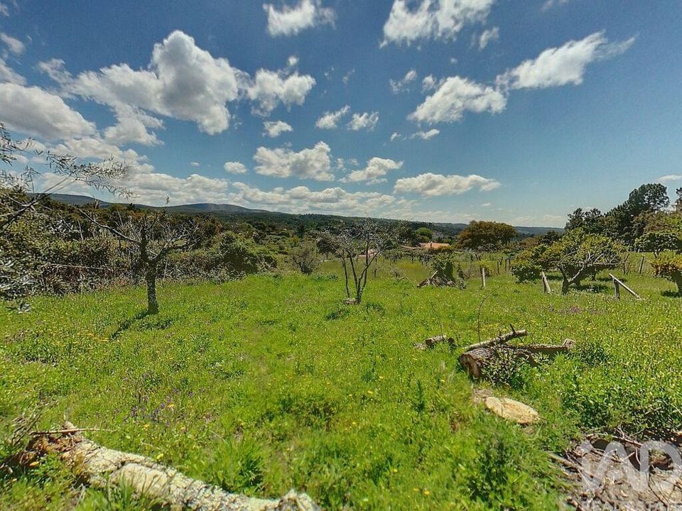 Helårsgrund i Serta, Castelo Branco - foto 3