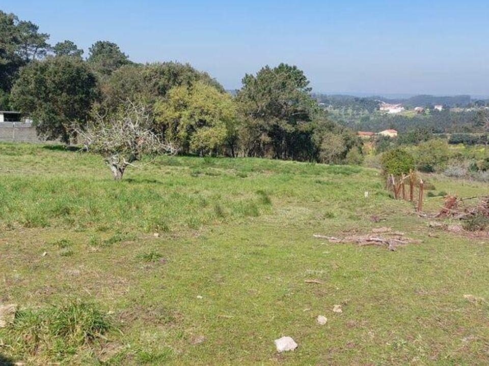 Helårsgrund i Alcobaca, Leiria - foto 1