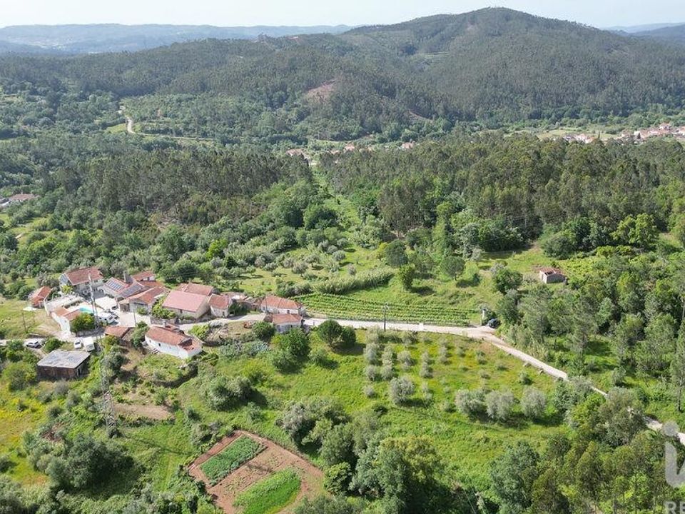 Terra a Penela, Coimbra - foto 4