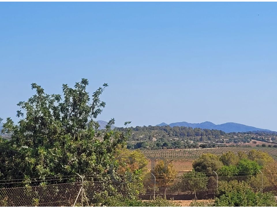 Helårsgrund i Manacor, Mallorca - foto 4