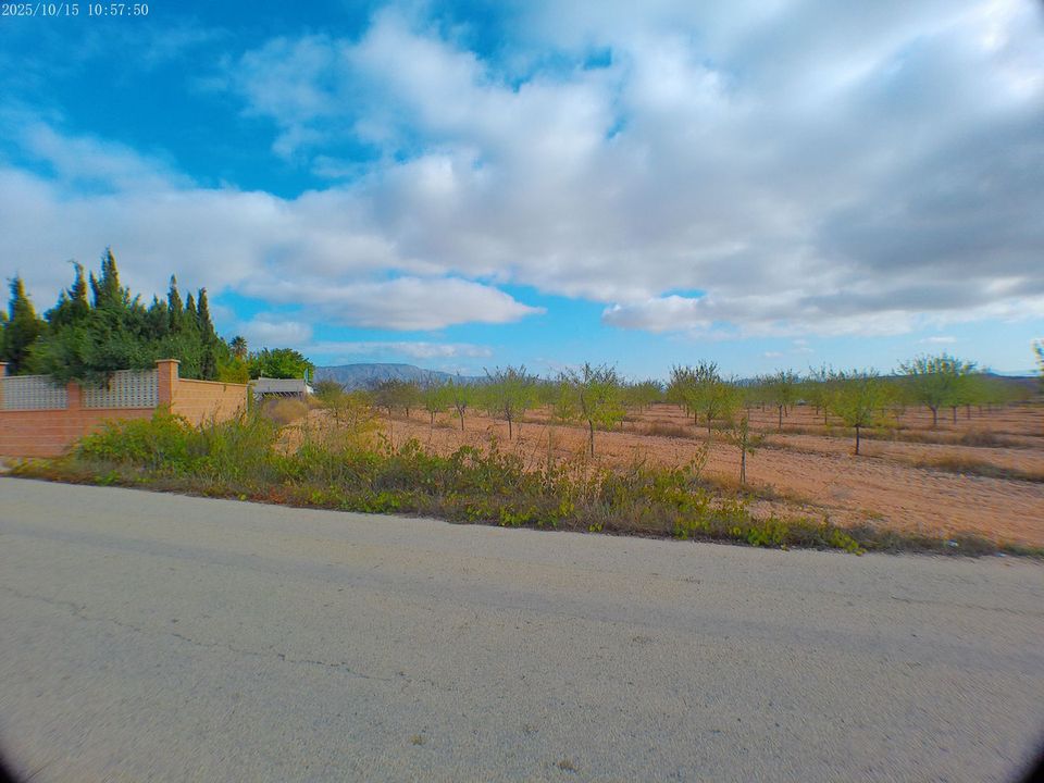 Helårsgrund i Pinoso, Alicante - foto 5