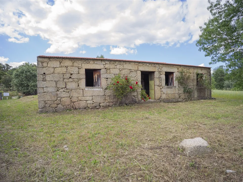 Fattoria Covilha, Castelo Branco - foto 2