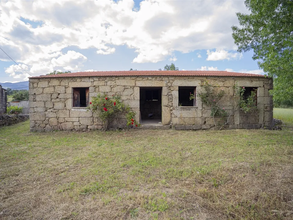 Fattoria Covilha, Castelo Branco - foto 3
