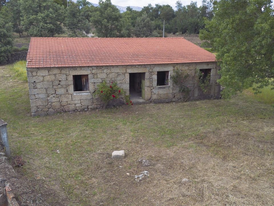 Fattoria Covilha, Castelo Branco - foto 4