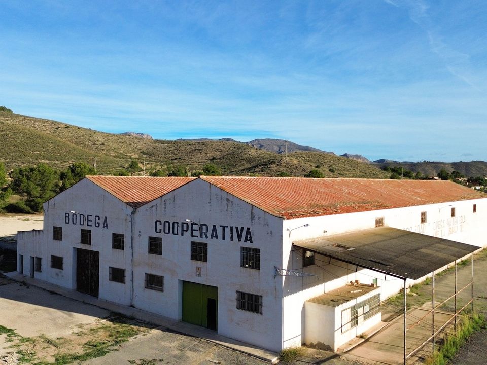 Erhvervsejendom i Hondon De Los Frailes, Alicante - foto 1
