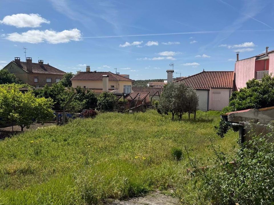 Helårsgrund i Vila Flor, Braganca - foto 3