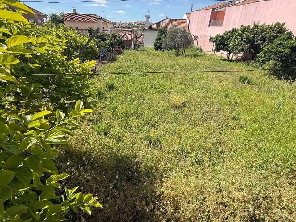 Helårsgrund i Vila Flor, Braganca - foto 4