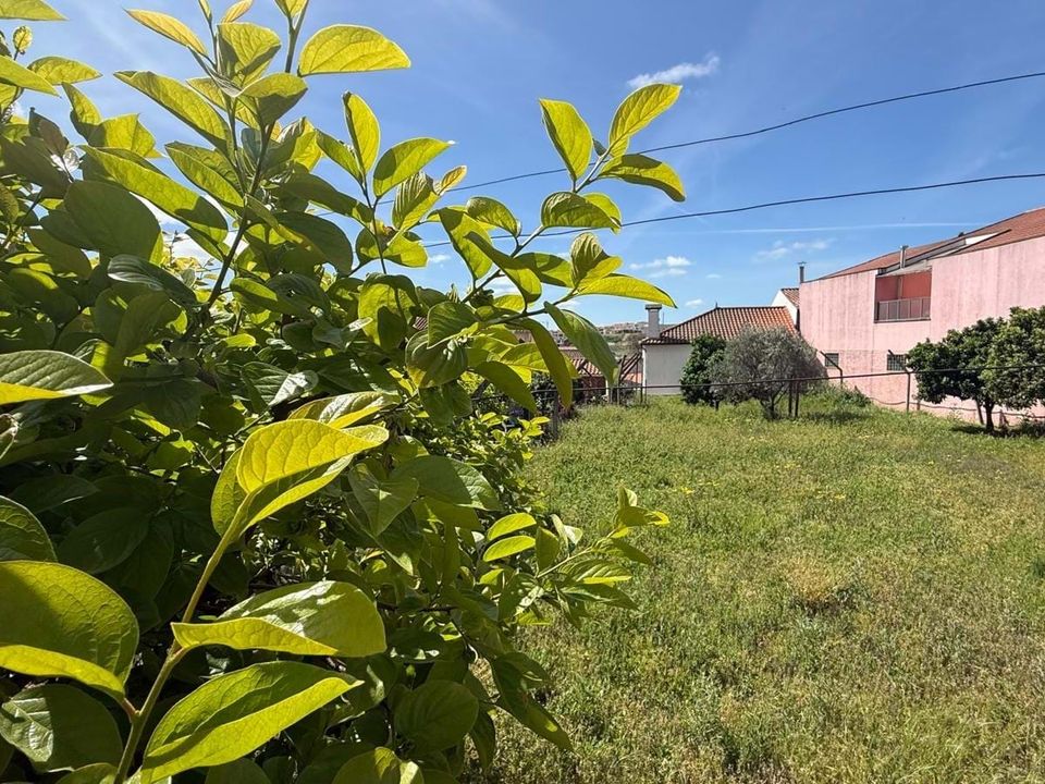 Helårsgrund i Vila Flor, Braganca - foto 5