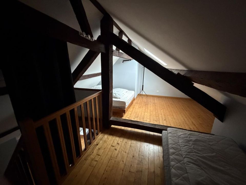 Duplex i Orleans, Loiret - foto 4