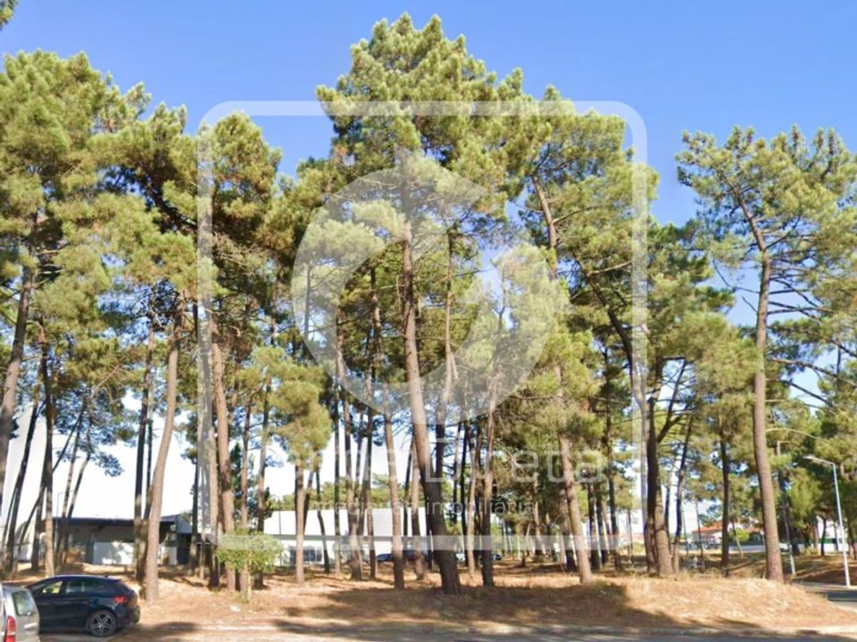 Helårsgrund i Brejos de Azeitao, Setubal - foto 5