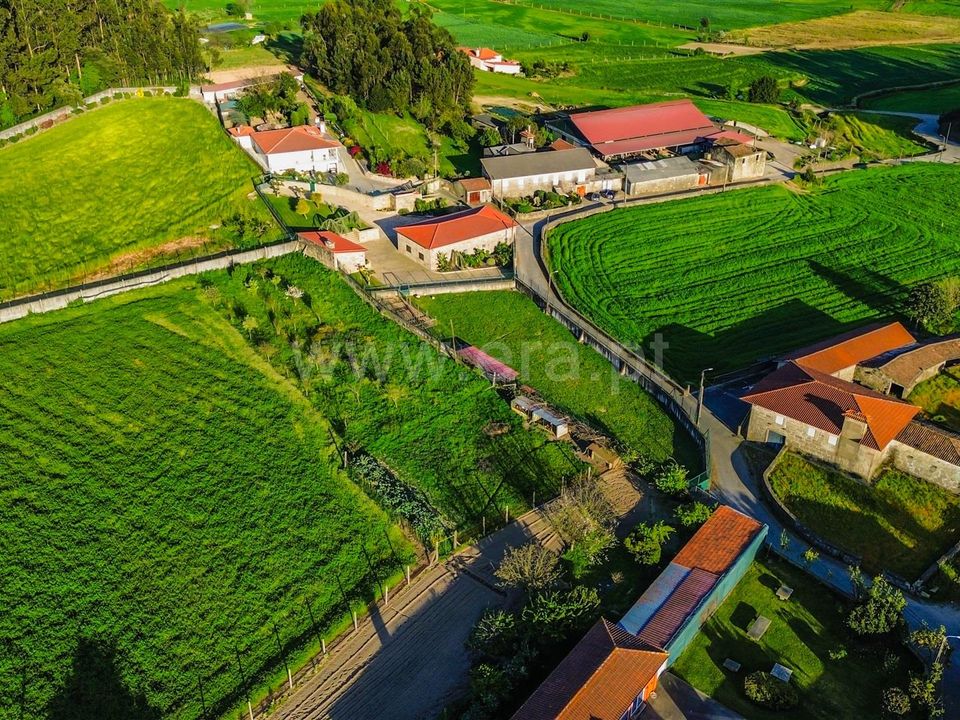 Helårsgrund i Barcelos, Braga - foto 4