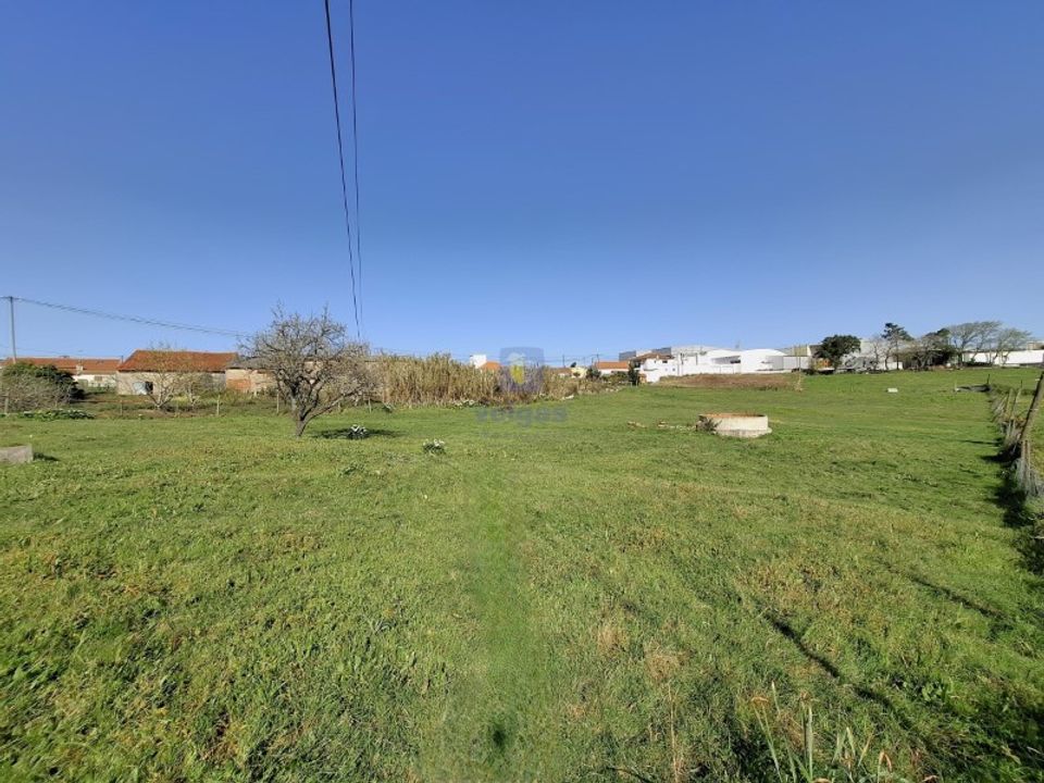 Helårsgrund i Alcobaca, Leiria - foto 3