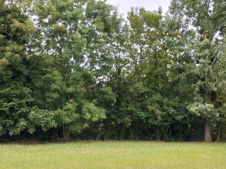 Helårsgrund i Saint-Saturnin, Sarthe - foto 1