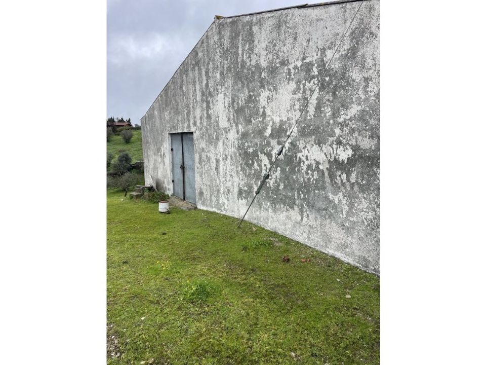 Gård i Montargil, Portalegre - bilde 3