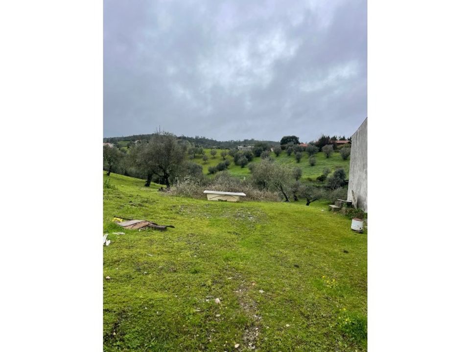Gård i Montargil, Portalegre - bilde 4