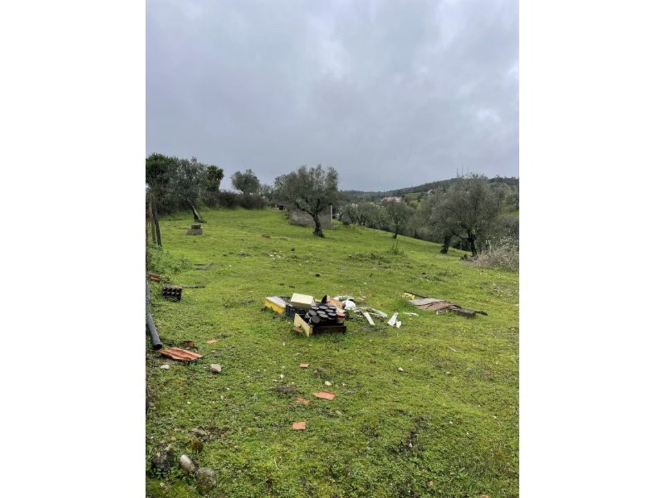 Gård i Montargil, Portalegre - bilde 5