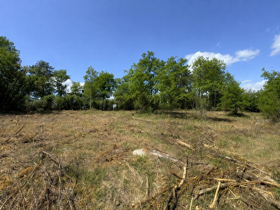Terra a Saint-Antoine-D'Auberoche, Dordogne - foto 1