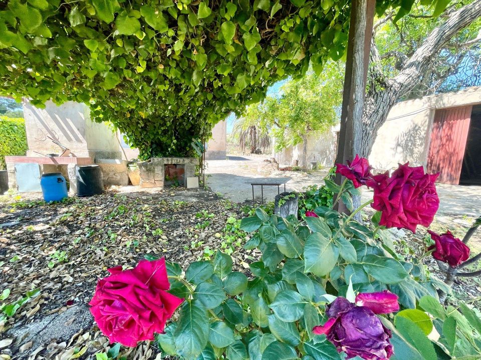 Villa i La Romana, Alicante - foto 5