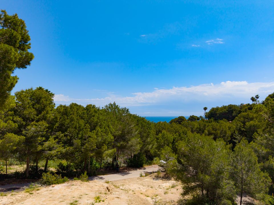 Helårsgrund i Javea, Alicante - foto 3