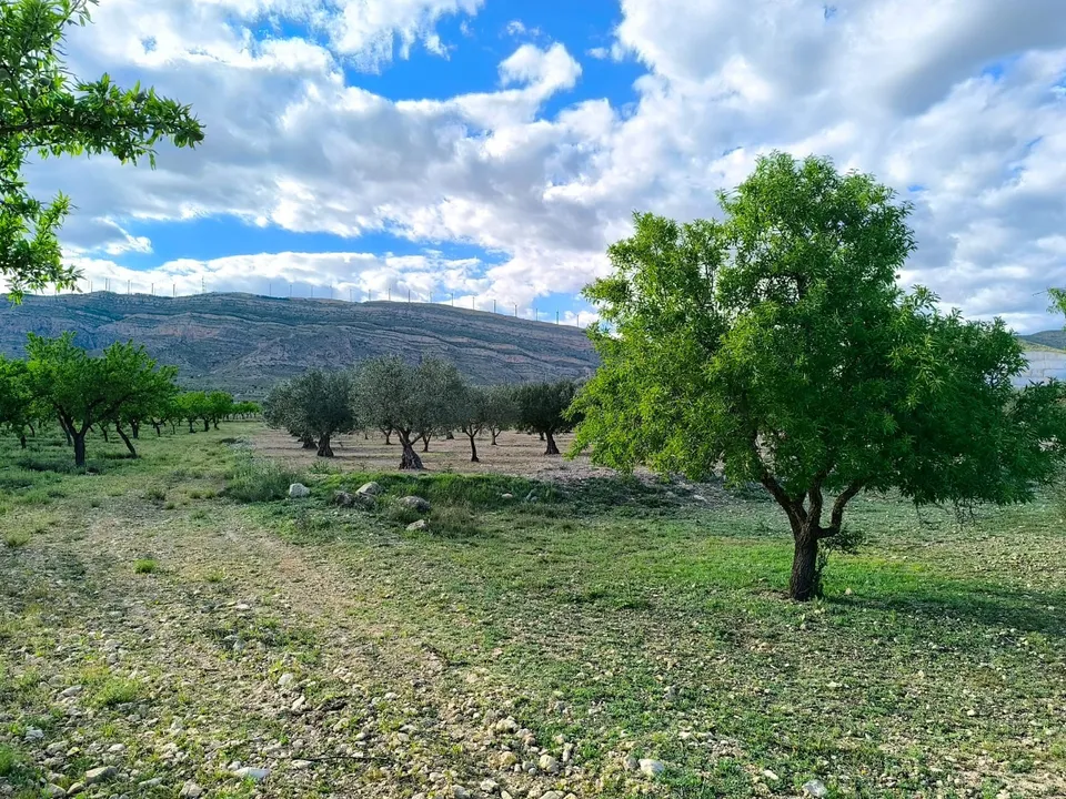 Helårsgrund i Caudete, Albacete - foto 1