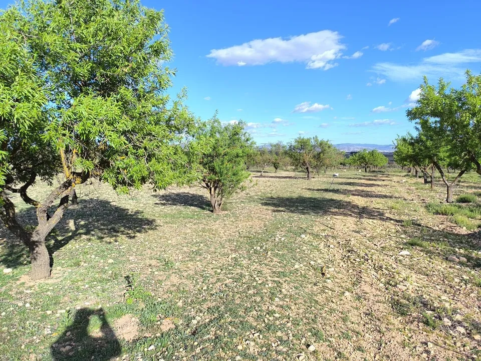 Helårsgrund i Caudete, Albacete - foto 2