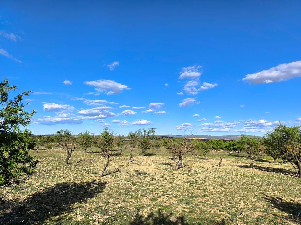 Helårsgrund i Caudete, Albacete - foto 5