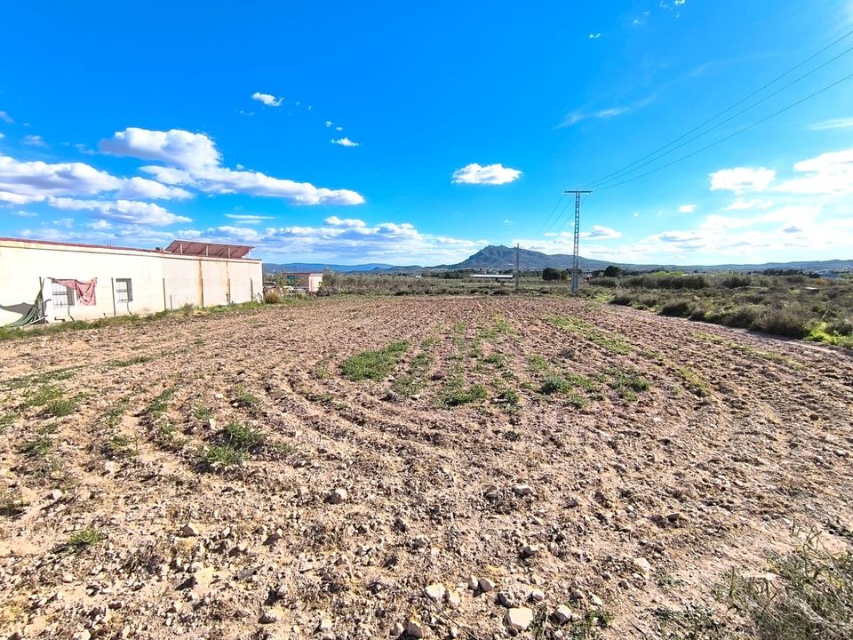 Helårsgrund i Caudete, Albacete - foto 4