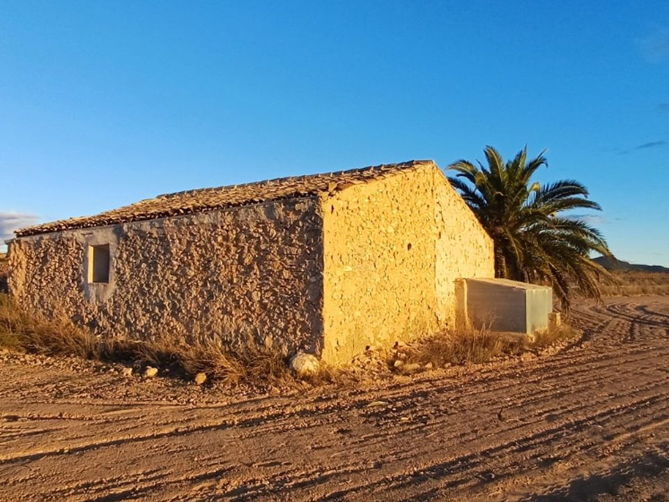 Landejendom i Yecla, Murcia - foto 1