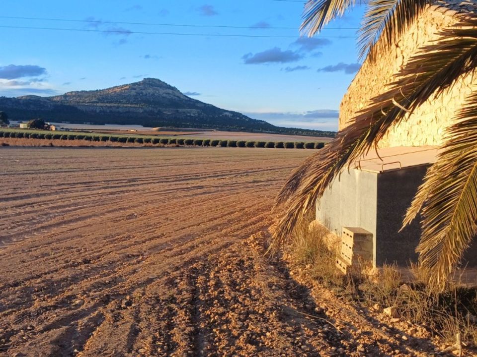 Landejendom i Yecla, Murcia - foto 5