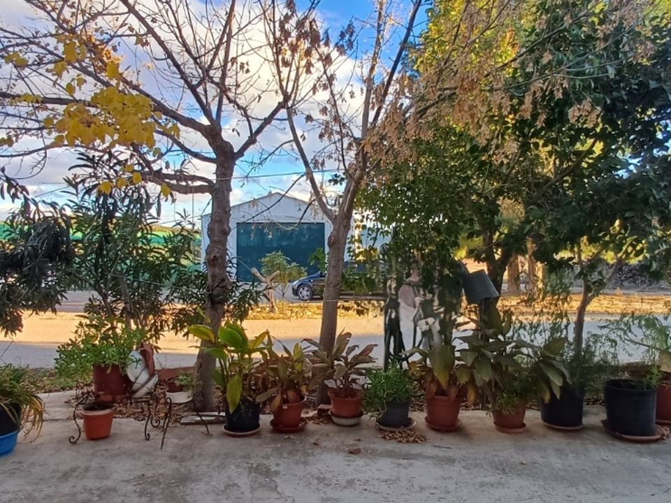 Herregård i Yecla, Murcia - bilde 4