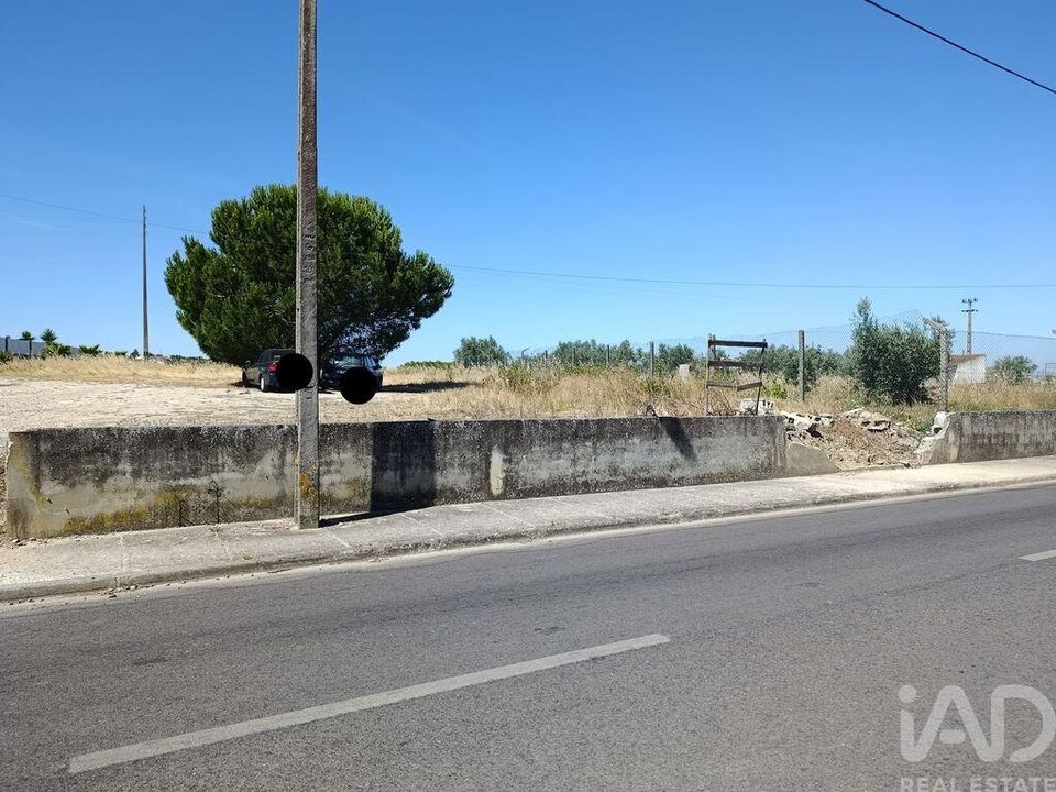Tomt i Almeirim, Santarem - bilde 2
