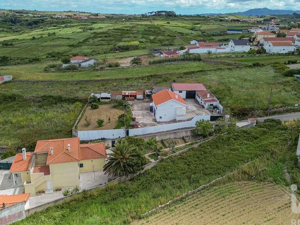 Terra a Sintra, Lisbon - foto 4