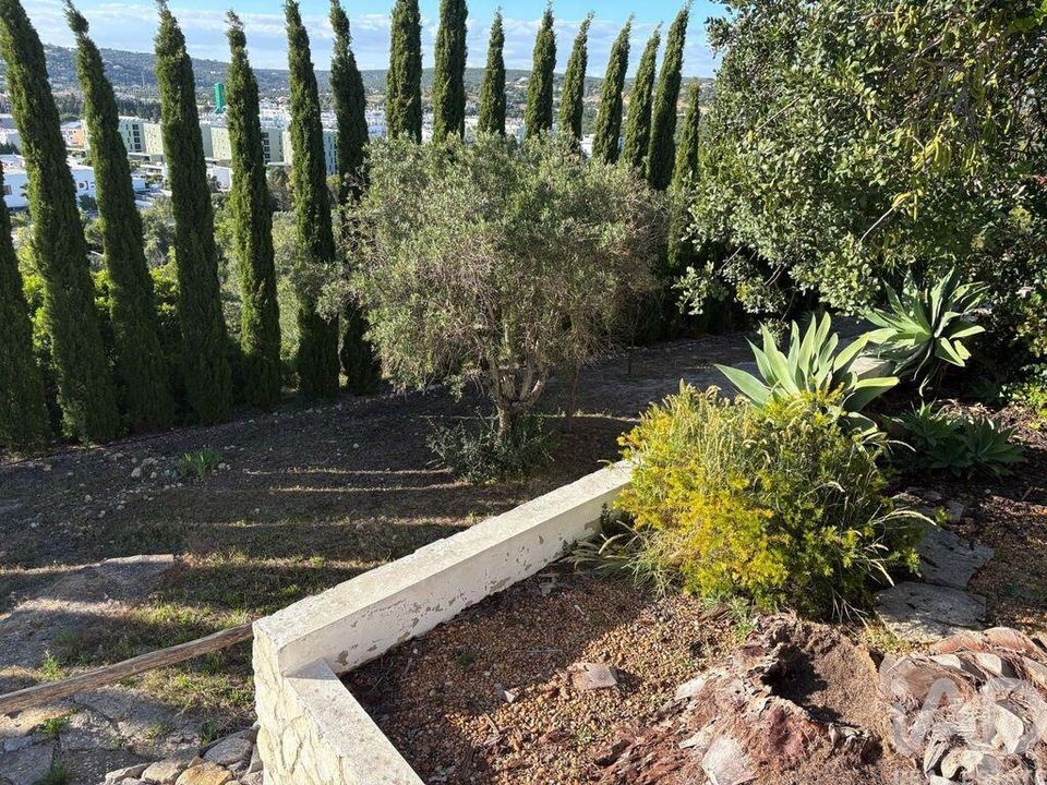 Byhus i Loule, Faro - foto 5