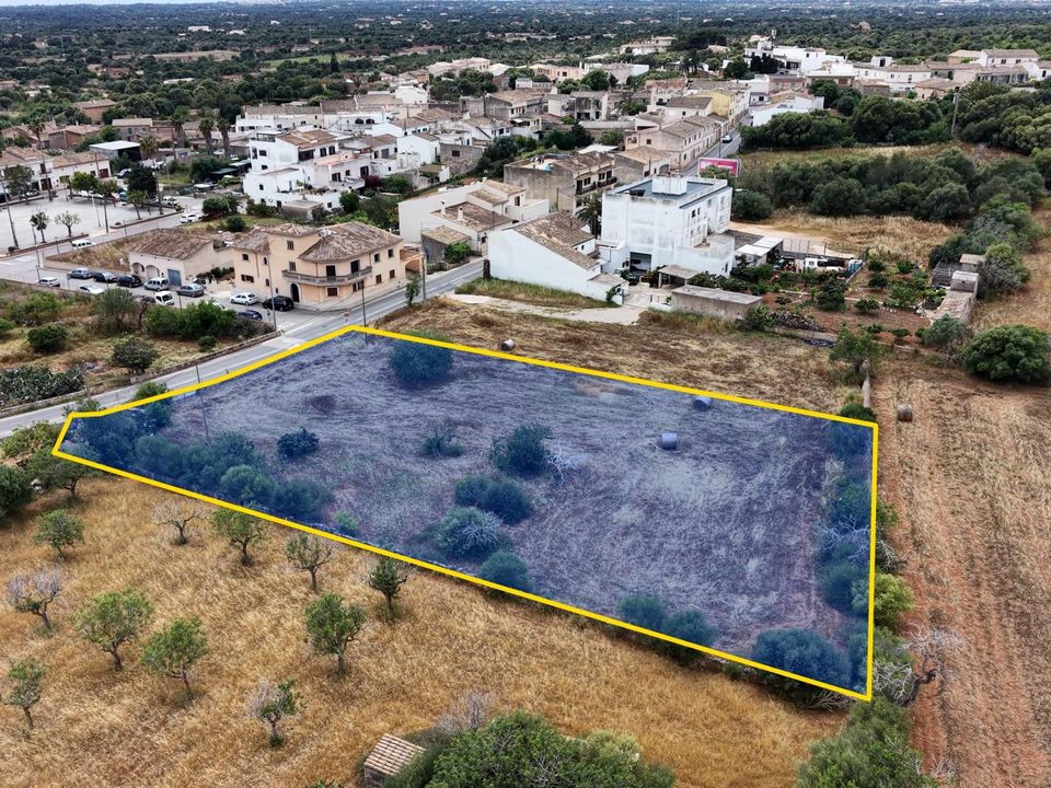 Terra a L'Alqueria Blanca, Mallorca - foto 1