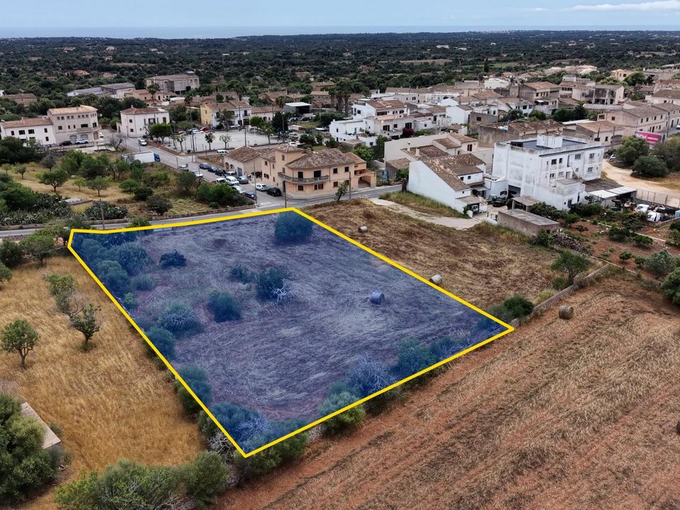 Terra a L'Alqueria Blanca, Mallorca - foto 2