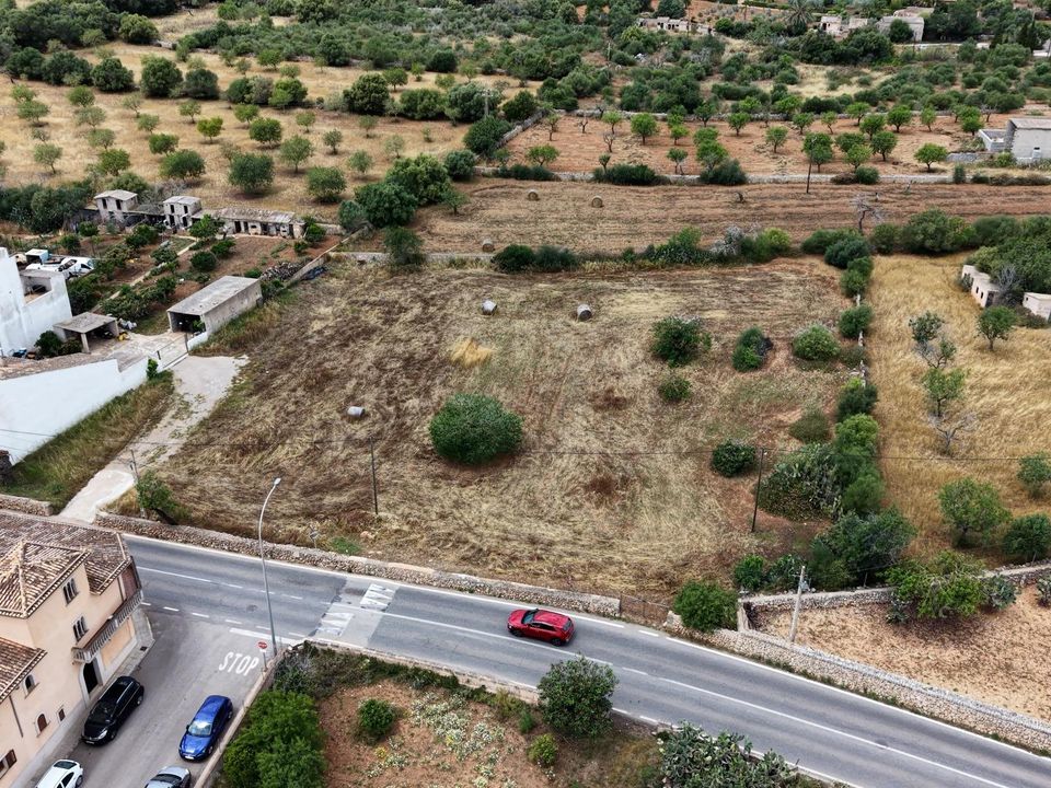 Terra a L'Alqueria Blanca, Mallorca - foto 3