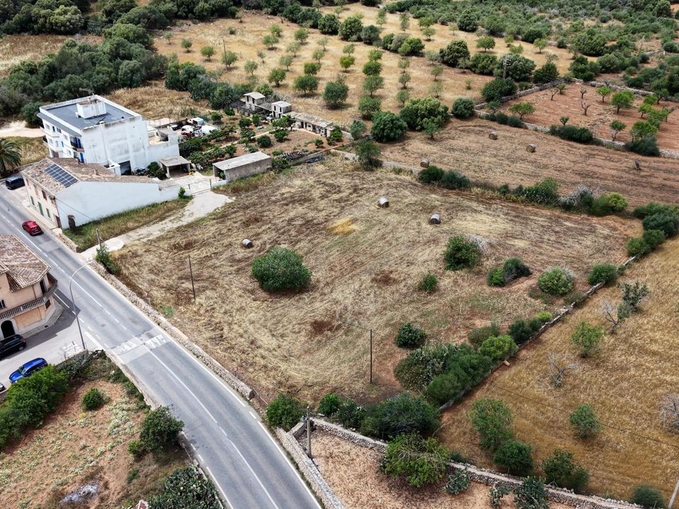 Terra a L'Alqueria Blanca, Mallorca - foto 4