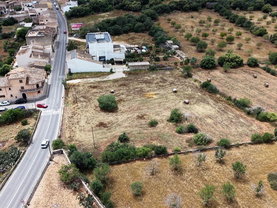 Terra a L'Alqueria Blanca, Mallorca - foto 5