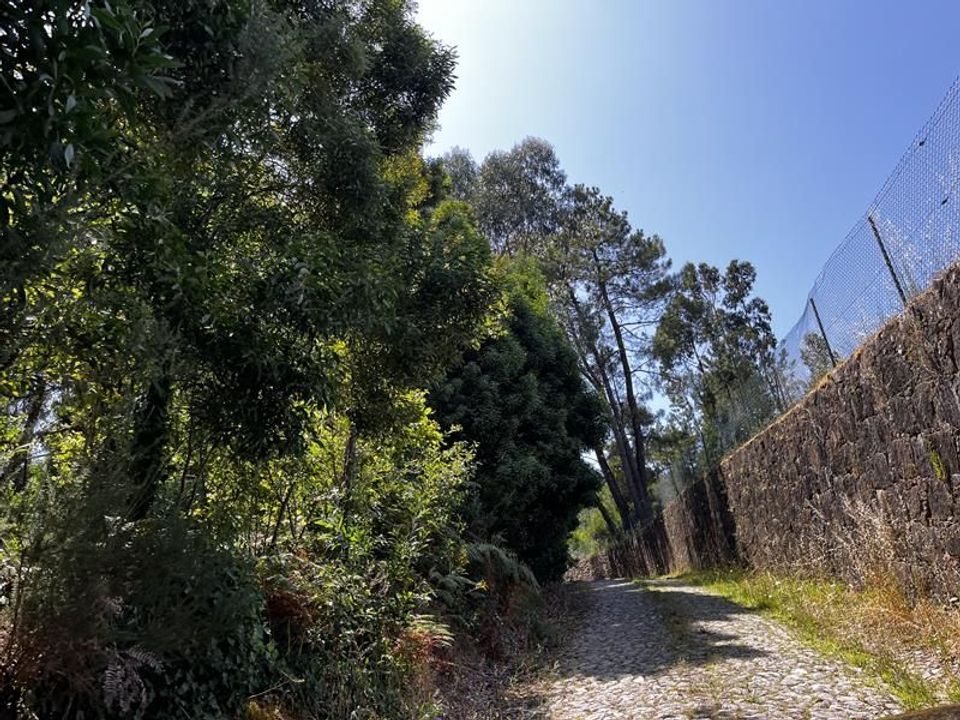 Helårsgrund i Caminha, Viana do Castelo - foto 3