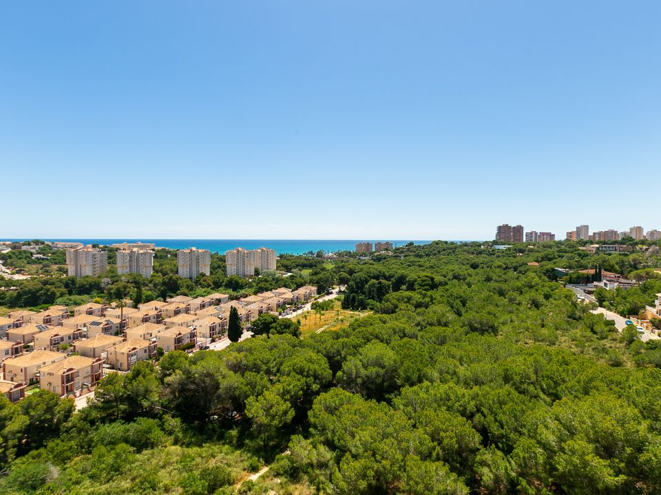 Lejlighed i Dehesa De Campoamor, Alicante - foto 2