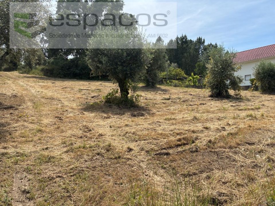 Tomt i Fundao, Castelo Branco - bilde 3