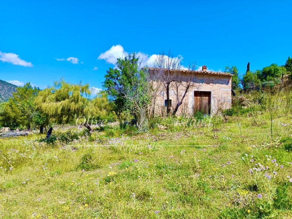Helårsgrund i Alaro, Mallorca - foto 1
