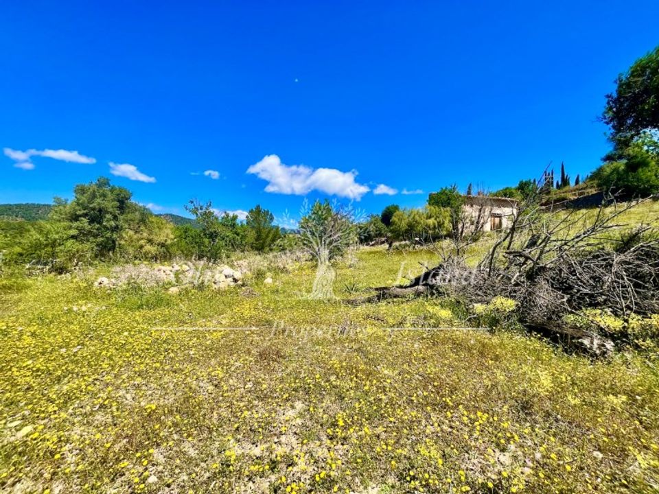 Helårsgrund i Alaro, Mallorca - foto 2