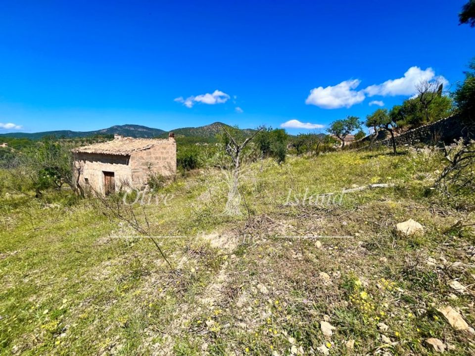 Helårsgrund i Alaro, Mallorca - foto 3