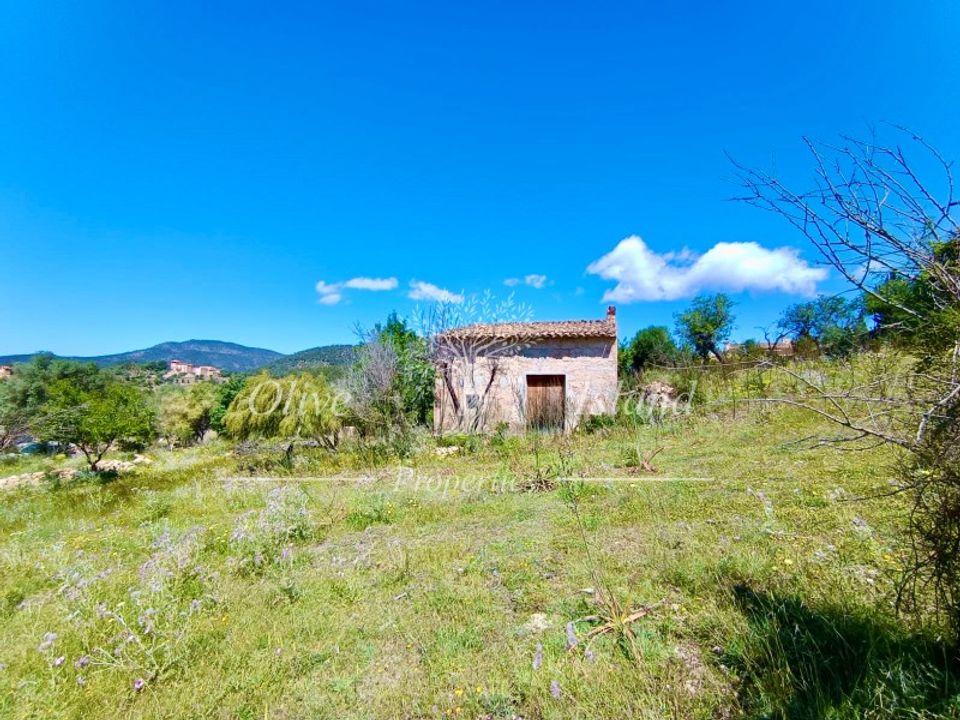 Helårsgrund i Alaro, Mallorca - foto 4