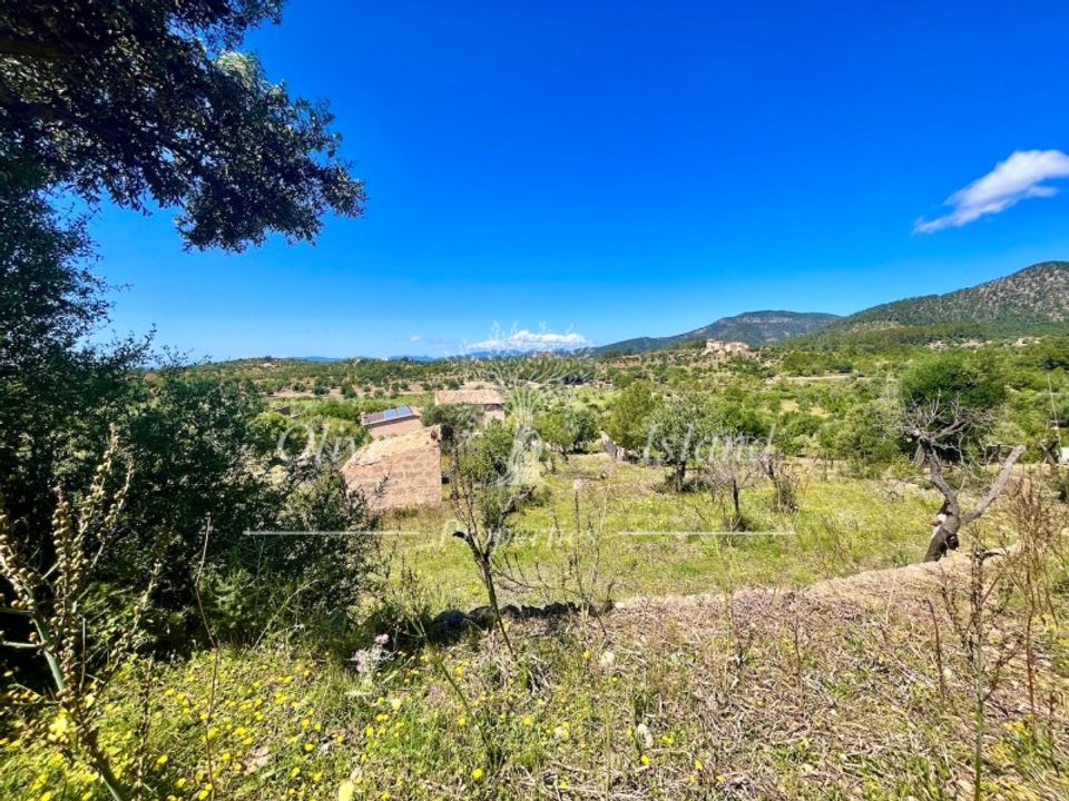 Helårsgrund i Alaro, Mallorca - foto 5