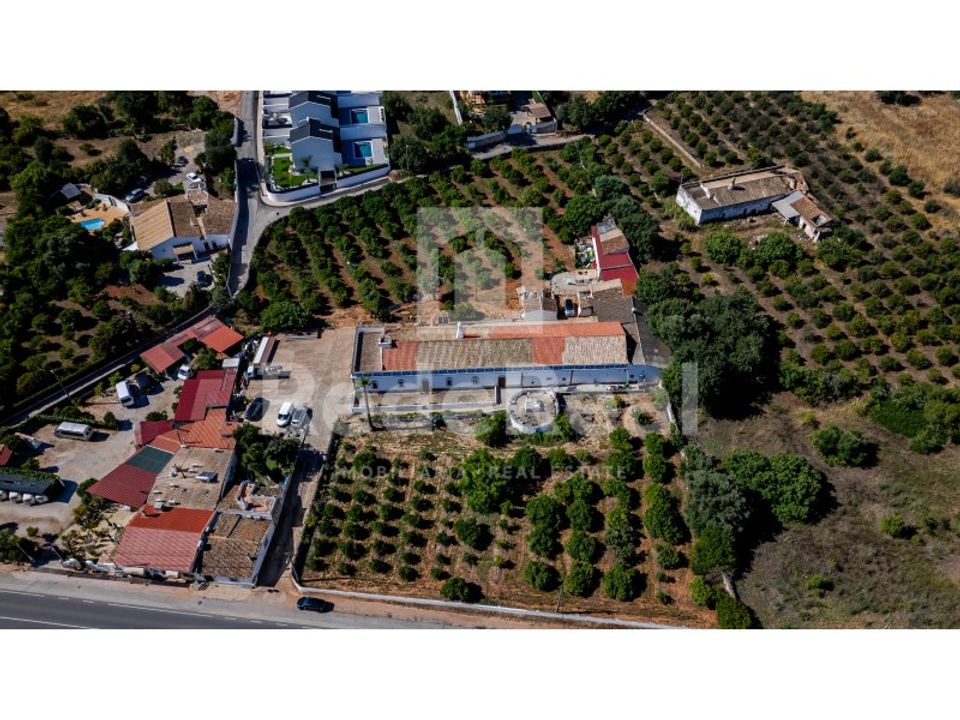 Farm i Boliqueime, Faro - foto 1