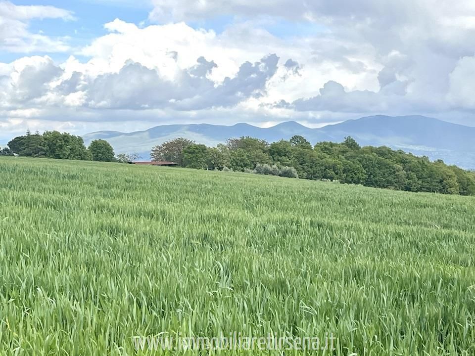 Villa i Orvieto, Terni - foto 5