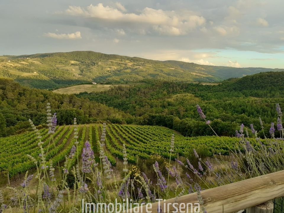 Farm i San Venanzo, Terni - foto 4