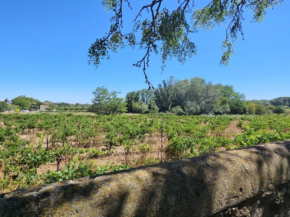 Villa i Saint-Marcel-sur-Aude, Aude - foto 3